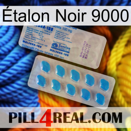 Étalon Noir 9000 new15